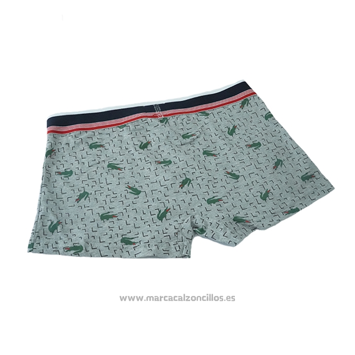 Boxer Lacoste Hombre Prints Colors Gris Verde